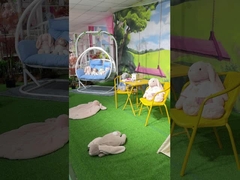 La mascotte de coton de pp a bourré jouet mou 31 x 39cm de Dinasour de jouets le grand